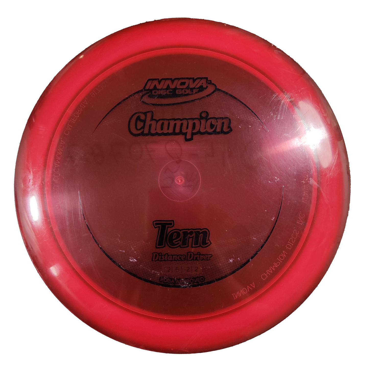 Innova Champion Tern