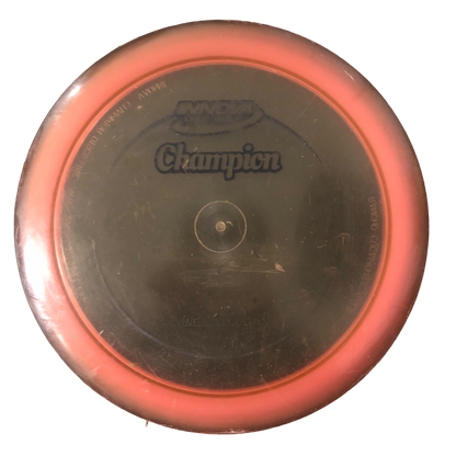 Innova Champion Tern